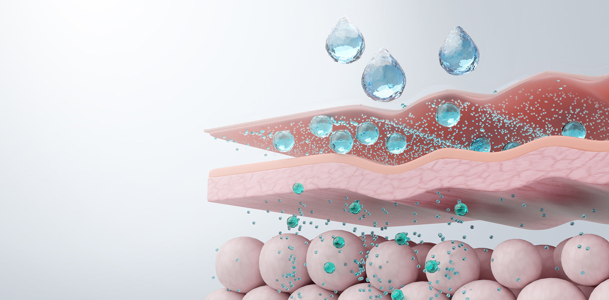 how to repair skin barrier strengthen skin barrier skin barrier repair damaged skin barrier